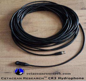Hidrofone Cetacean Research CR3